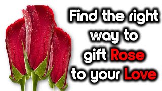 Rose Day Gift Ideas | Happy Rose Day 2022 | Valentine’s Week Day 1 | Rajasthani Sisters