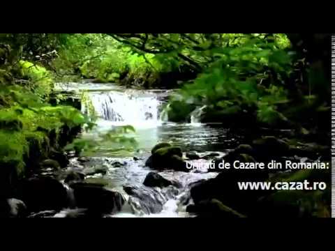 Cazare Alexesti, Iasi - Cazat.ro