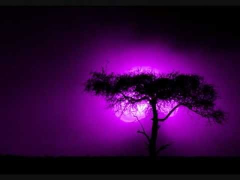 Suntree - Ocean Denial (ft. Antigravity).wmv