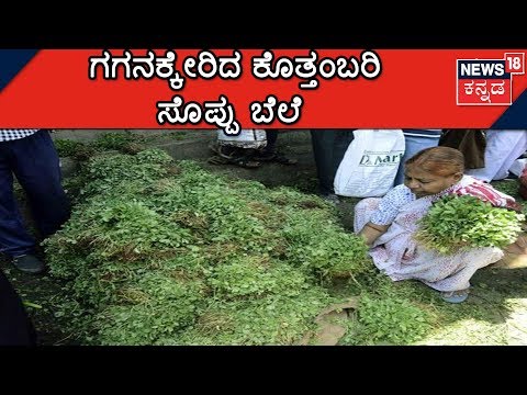 download lagu mp3 mp4 Coriander Leaves Price Today, download lagu Coriander Leaves Price Today gratis, unduh video klip Coriander Leaves Price Today