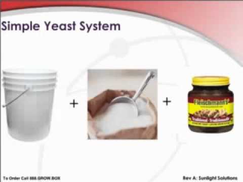 CO2 Supplements In Your Indoor Garden