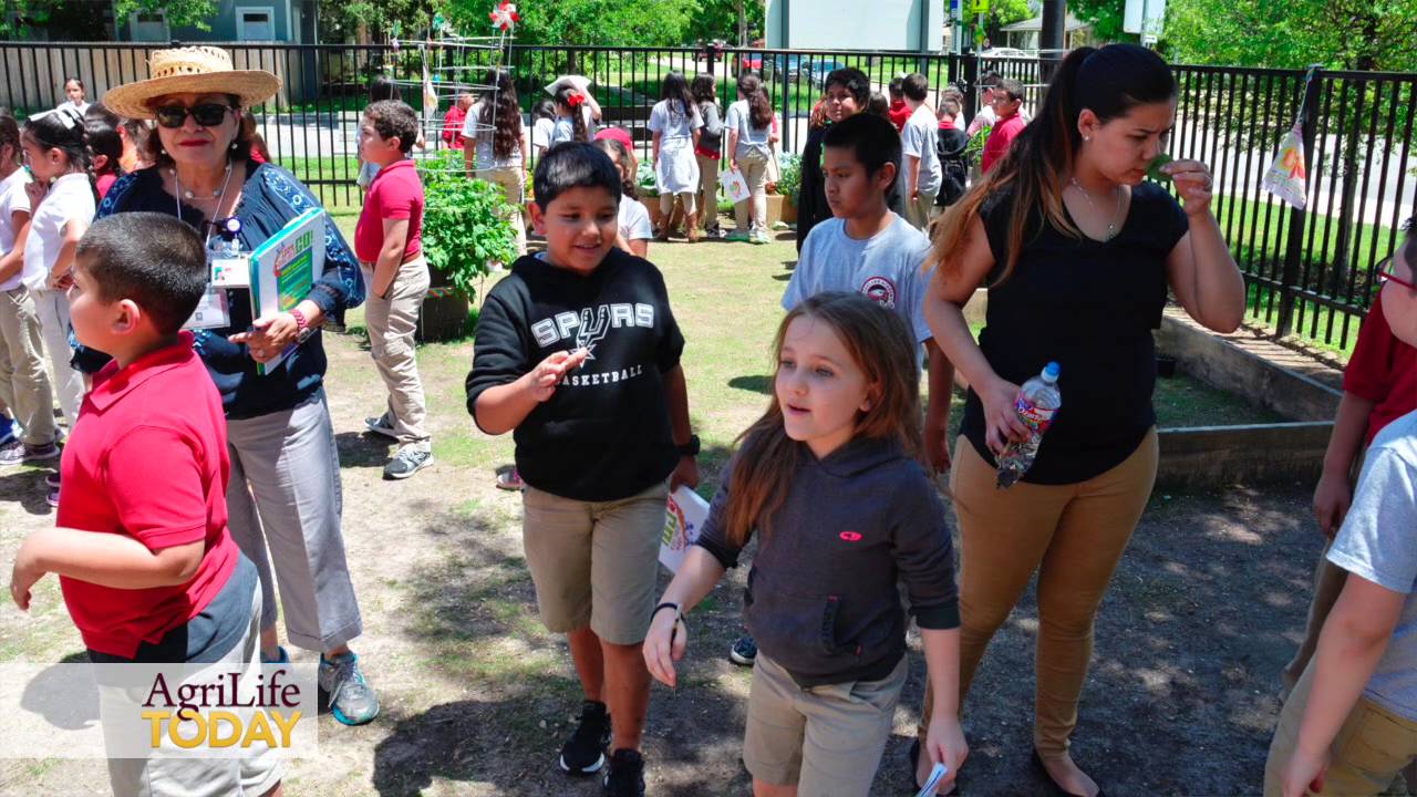 Learn, Grow, Eat and Go!