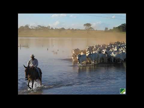Programa: Caminho da Roça - 19/10/26 - Parte 1 - Apresentação: Paulinho