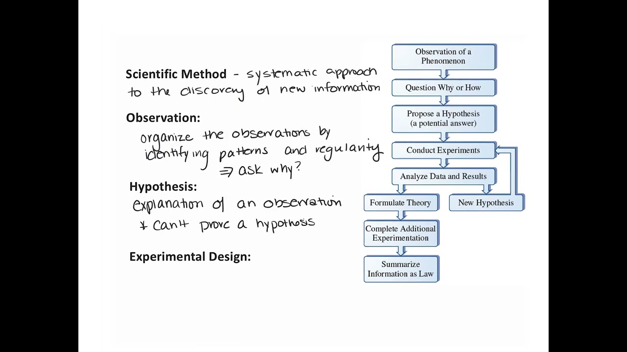 1010 Chapter 1 Scientific Method