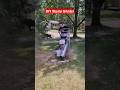 I rented this stump grinder for $150 it took 15 mins to grind #stump #stumpgrinding #treework #diy
