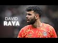 David Raya - Season Highlights | 2023