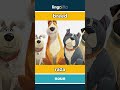 breed - raza video thumbnail