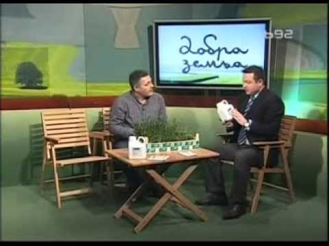 BASF zastitar - zastita psenice od korova