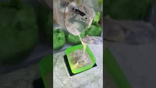 Download lagu Banana Ice Cream ENAK Banget Lembut Dan Creamy|Cara Membuat Es Krim|Resep Mengolah pisang Must Try!! mp3