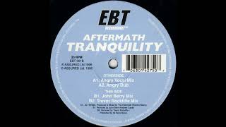Aftermath - Tranquility (Angry Vocal Mix) (Acid Trance 1996)