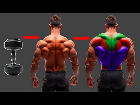 BUILD HUGE BACK with These 8 Powerful Dumbbell Exercises | Dumbbell Only