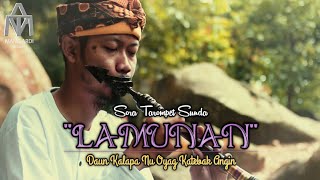 Download lagu viral tiktok 'LAMUNAN' Daun Kalapa (Yayan Jatnika) Matak Raos Tur Betah mp3