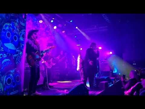 Los Plantronics feat. Ebbot - Throw It To The Universe