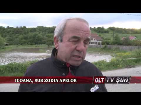 ICOANA SUB ZODIA APELOR 1605