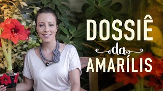 Miniatura do vídeo