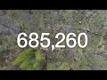 2023 Kuat Future Forest Initiative