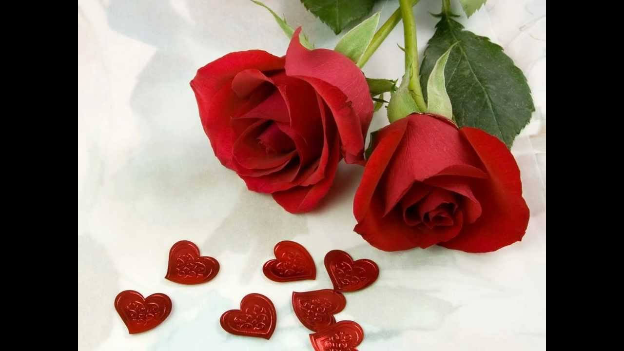 Mohabbat Ki Kitabo Me Ye Baat Likhi Hai (Male) Lyrics | Dushman Zamana | Kumar Sanu | Mahesh Kishore