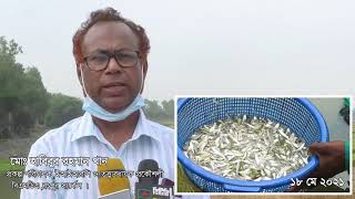 ইআইআরপি ভিডিও