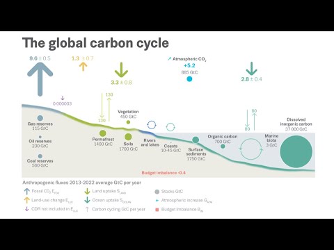 Global Carbon Cycle and Budget Update: Stressing Carbon ...
