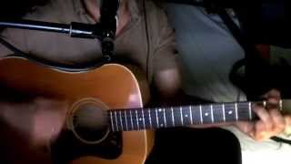 Lass mi amoi no d´Sunn aufgeh´ segn Georg Danzer Austria 3 Cover Interpretation Guild D-30