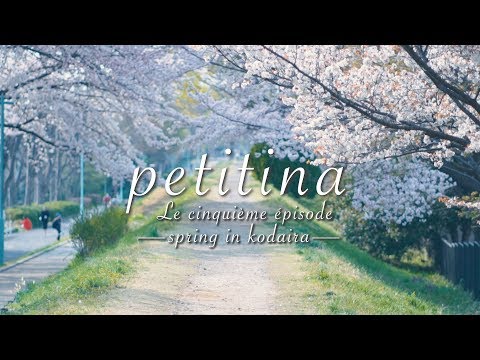 petitina Le Épisode Cinquième ー early spring in kodaira ー [東京都小平市 春の小平グリーンロード]