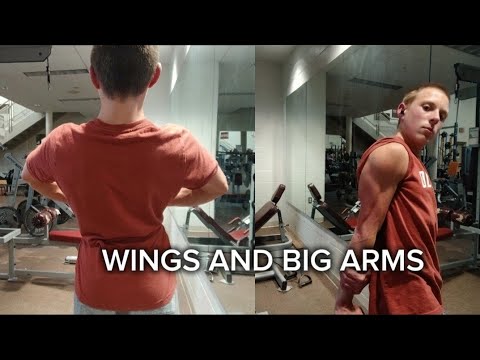 Bulk Day 1: Back and Triceps