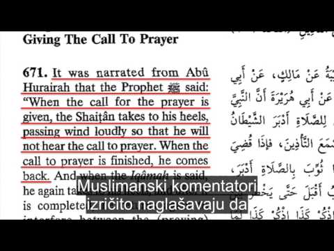 Zabavne islamske činjenice 7: Sotona prdi kada čuje zov na molitvu (David Wood)