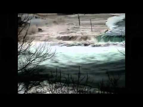 WILD LIFE   il risvoltino