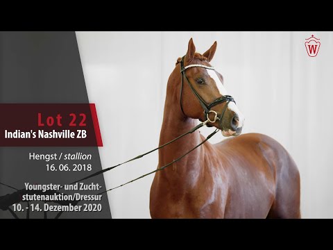 Youngster- u. Zuchtstutenauktion/Dressur Lot 22 Indian´s Nashville ZB Hengst v.Asgard's Ibiza-Apache