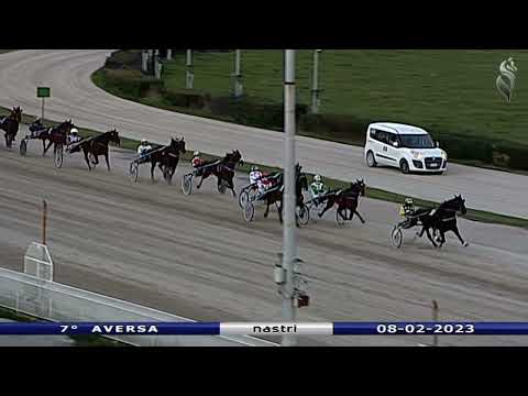 Aversa trotto 8 Febbraio 2023 - 7° Corsa