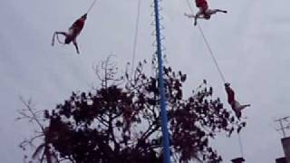 preview picture of video 'Voladores del Papantla Antigua Veracruz Mexico 2010'