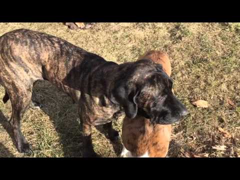 Tahira working with wood