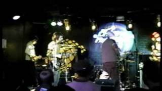 Radio Freedom - the Dingees