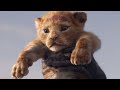 Mass Seen In Lion King