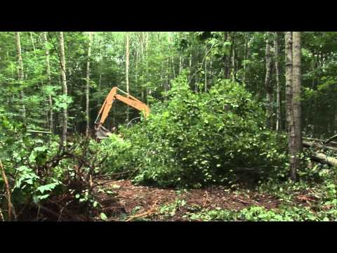 Excavator Time Lapse