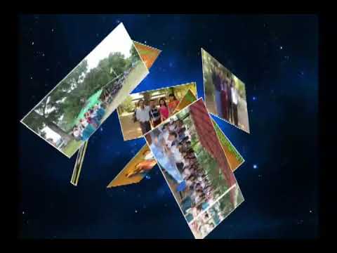 11 8 day 8 month 8 year