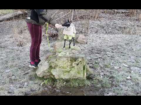 Marvin - Piedestal / Pedestal