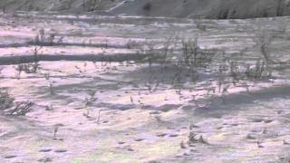 Les rivières de janvier - Keren Ann