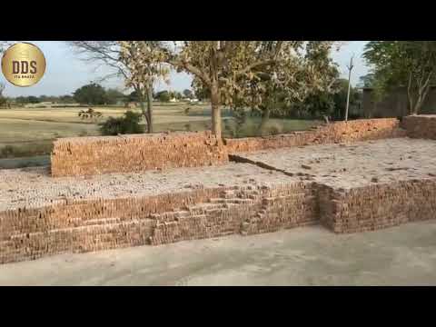 DDS Ita Bhata Nikashi Ho rha Hai