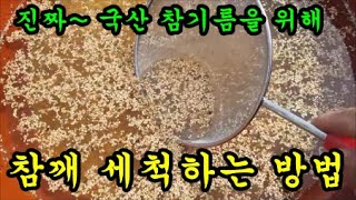 국산참깨를 물에 깨끗이 세척하는 방법에 대해서 이야기 해보았습니다