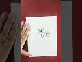 Sadabahar Ke Fool Ki Drawing How To Draw Periwinkle Flower How To Draw Evergreen Forest Shorts