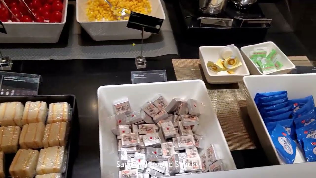 All Nippon Airways ANA Lounge