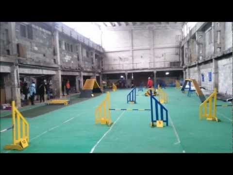 FreeXowi debiutanci - grudzień 2012