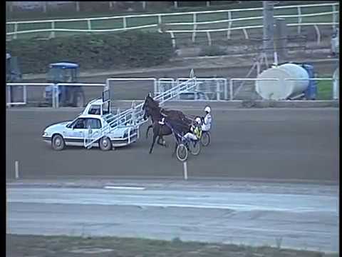 Trotto 26/08/2017 - 1ª prova di qualifica