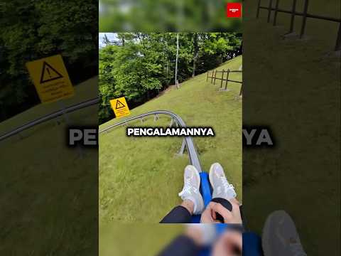 Antre Berjam-Jam Demi Roller Coaster, Endingnya Bikin Kesal
