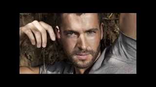 Shayne Ward    -   Too Much To Lose
