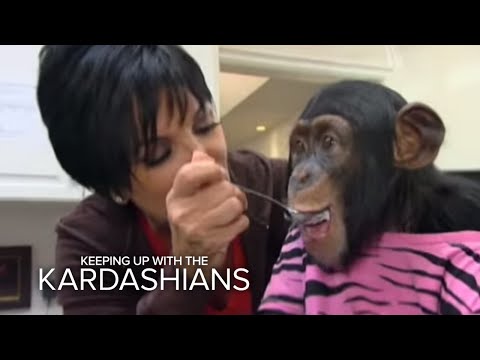 download lagu mp3 mp4 Kim Kardashian Monkey, download lagu Kim Kardashian Monkey gratis, unduh video klip Kim Kardashian Monkey
