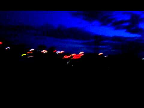 Nocturnal Mustangs BMW VIDEO0010.3gp