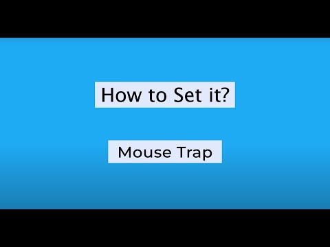 How to Set sarkman Mouse Traps