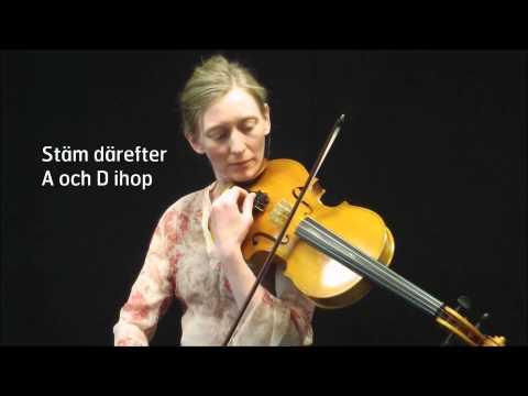 Stäm din altfiol på gehör